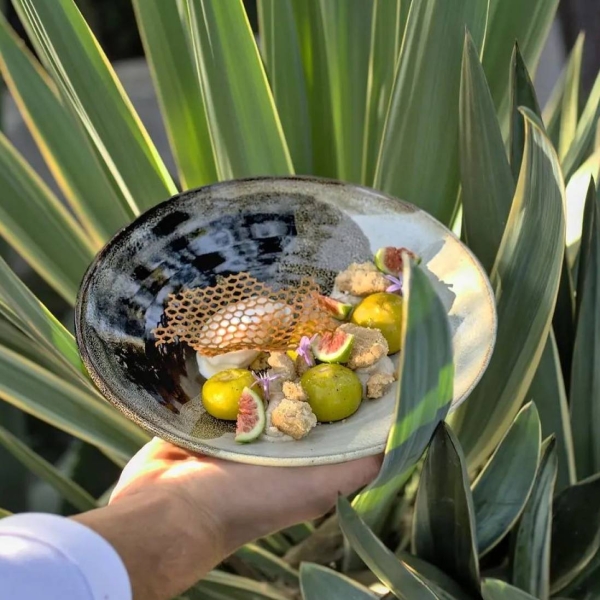 La carte - Restaurant Gastronomique ile Rousse - Restaurant Gastronomique Calvi - I Salti - restaurant SPELONCATO - meilleur restaurant SPELONCATO