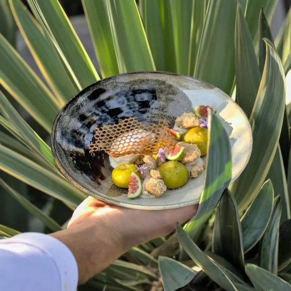 I Salti - restaurant SPELONCATO - restaurant sympa SPELONCATO